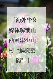 海外华文媒体解锁山西河津小山村“蝶变密码”