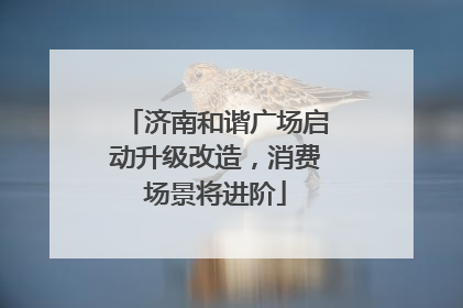 济南和谐广场启动升级改造，消费场景将进阶