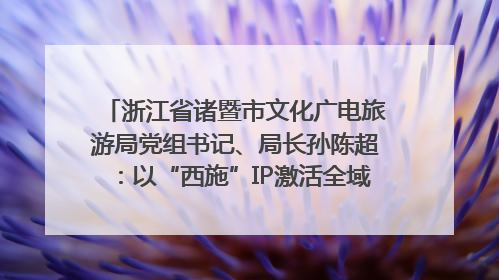 浙江省诸暨市文化广电旅游局党组书记、局长孙陈超：以“西施”IP激活全域旅游 打造县域文旅融合新标杆｜第七届全国县域旅游研究成果发布系列活动