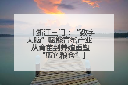 浙江三门：“数字大脑”赋能青蟹产业 从育苗到养殖重塑“蓝色粮仓”