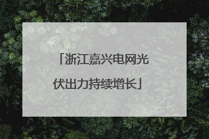 浙江嘉兴电网光伏出力持续增长