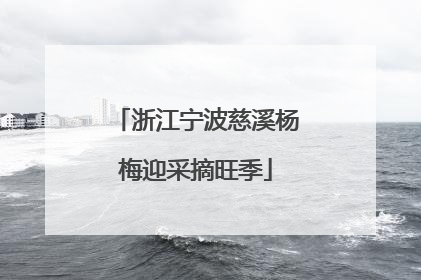 浙江宁波慈溪杨梅迎采摘旺季