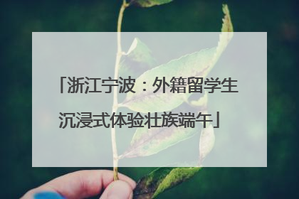 浙江宁波：外籍留学生沉浸式体验壮族端午