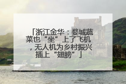 浙江金华：婺城蔬菜也“坐”上了飞机，无人机为乡村振兴插上“翅膀”