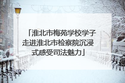 淮北市梅苑学校学子走进淮北市检察院沉浸式感受司法魅力