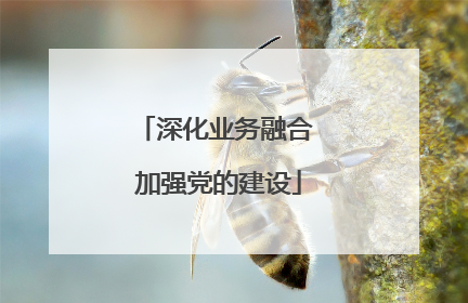 深化业务融合 加强党的建设