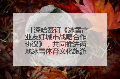 深哈签订《冰雪产业友好城市战略合作协议》，共同推进两地冰雪体育文化旅游高质量发展
