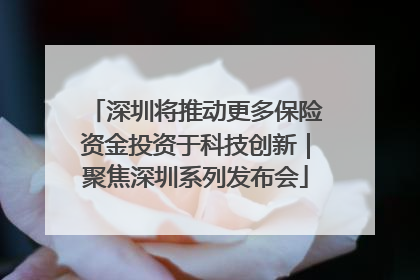 深圳将推动更多保险资金投资于科技创新｜聚焦深圳系列发布会