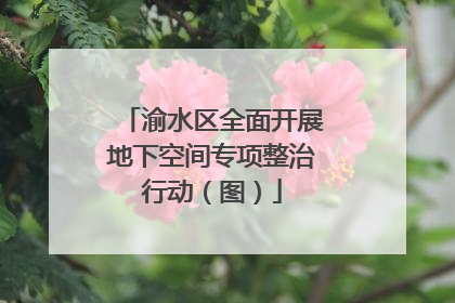 渝水区全面开展地下空间专项整治行动（图）