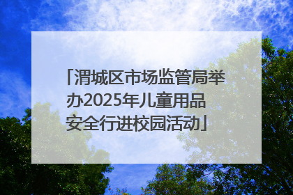 渭城区市场监管局举办2025年儿童用品安全行进校园活动