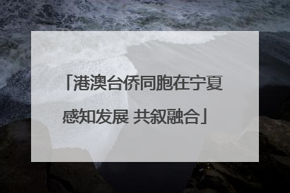港澳台侨同胞在宁夏感知发展 共叙融合