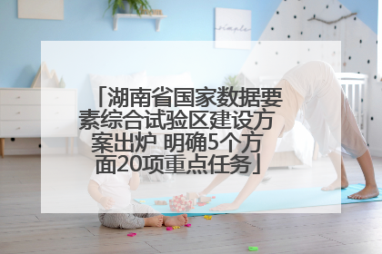 湖南省国家数据要素综合试验区建设方案出炉 明确5个方面20项重点任务