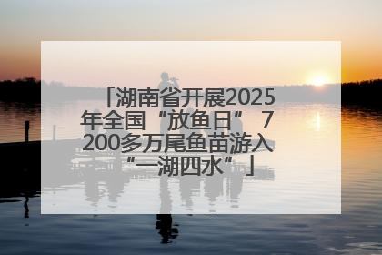 湖南省开展2025年全国“放鱼日” 7200多万尾鱼苗游入“一湖四水”