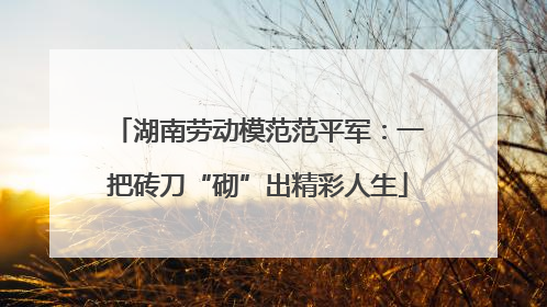 湖南劳动模范范平军：一把砖刀“砌”出精彩人生