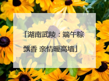 湖南武陵：端午粽飘香 亲情暖高墙