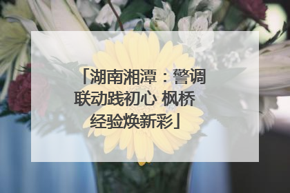 湖南湘潭：警调联动践初心 枫桥经验焕新彩