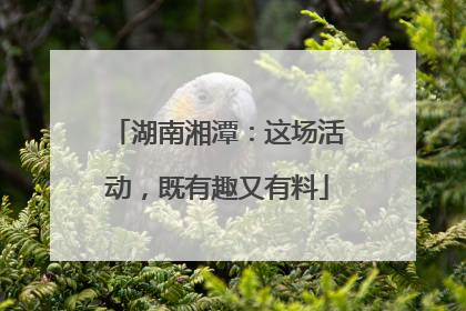 湖南湘潭：这场活动，既有趣又有料