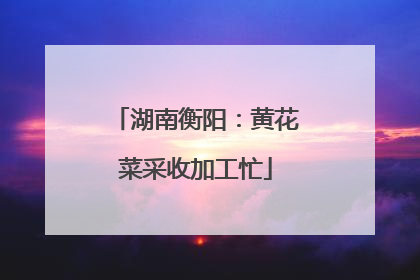 湖南衡阳：黄花菜采收加工忙