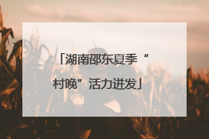 湖南邵东夏季“村晚”活力迸发