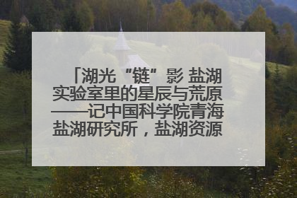 湖光“链”影 盐湖实验室里的星辰与荒原——记中国科学院青海盐湖研究所，盐湖资源化学实验室党总支书记、副主任刘忠