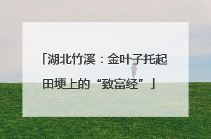 湖北竹溪：金叶子托起田埂上的“致富经”