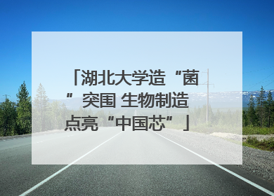 湖北大学造“菌”突围 生物制造点亮“中国芯”