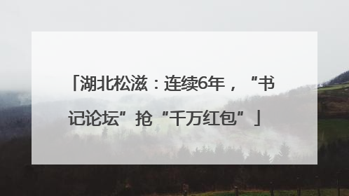 湖北松滋：连续6年，“书记论坛”抢“千万红包”