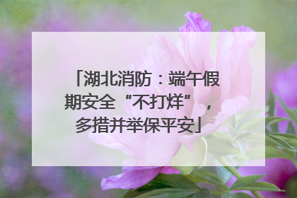 湖北消防：端午假期安全“不打烊”，多措并举保平安