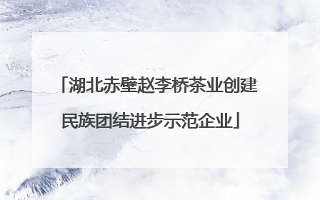湖北赤壁赵李桥茶业创建民族团结进步示范企业