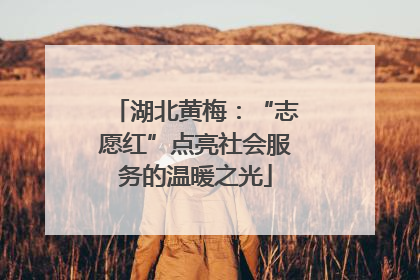 湖北黄梅：“志愿红”点亮社会服务的温暖之光