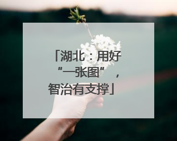 湖北：用好“一张图”，智治有支撑
