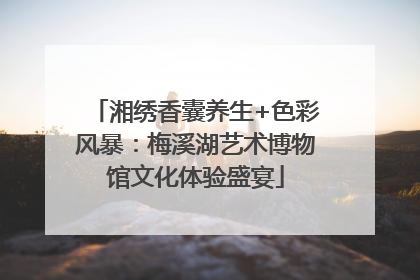 湘绣香囊养生+色彩风暴：梅溪湖艺术博物馆文化体验盛宴