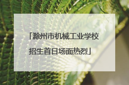 滁州市机械工业学校招生首日场面热烈