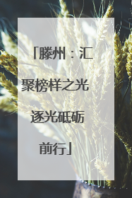 滕州：汇聚榜样之光 逐光砥砺前行