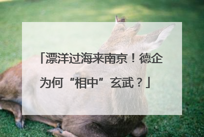 漂洋过海来南京！德企为何“相中”玄武？