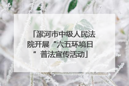 漯河市中级人民法院开展“六五环境日”普法宣传活动