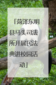 菏泽东明县马头司法所开展民法典进校园活动