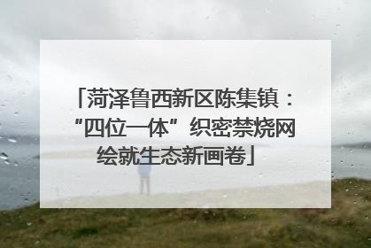 菏泽鲁西新区陈集镇：“四位一体”织密禁烧网 绘就生态新画卷