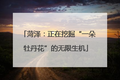 菏泽：正在挖掘“一朵牡丹花”的无限生机