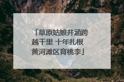 草原姑娘井涵跨越千里 十年扎根黄河滩区育桃李