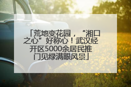 荒地变花园，“湘口之心”好称心！武汉经开区5000余居民推门见绿满眼风景
