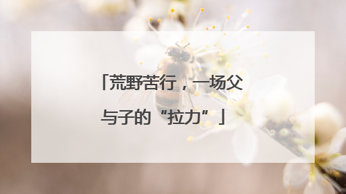 荒野苦行，一场父与子的“拉力”