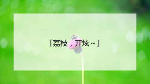 荔枝，开炫～