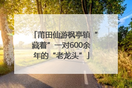 莆田仙游枫亭镇“藏着”一对600余年的“老龙头”