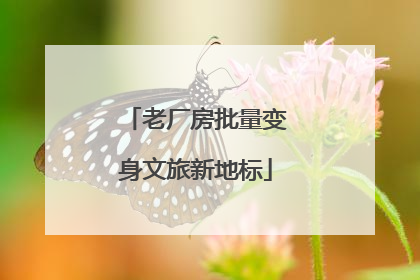 老厂房批量变身文旅新地标