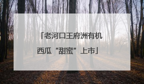 老河口王府洲有机西瓜“甜蜜”上市