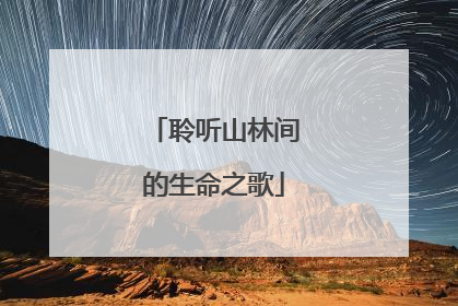 聆听山林间的生命之歌