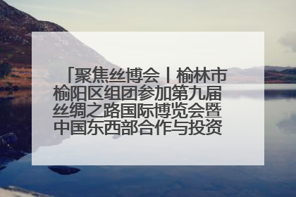 聚焦丝博会丨榆林市榆阳区组团参加第九届丝绸之路国际博览会暨中国东西部合作与投资贸易洽谈会