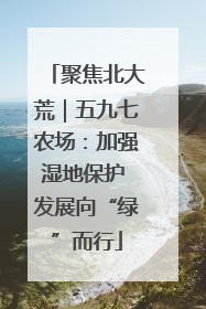 聚焦北大荒｜五九七农场：加强湿地保护 发展向“绿”而行