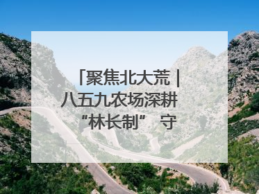 聚焦北大荒｜八五九农场深耕“林长制” 守护“生态绿”